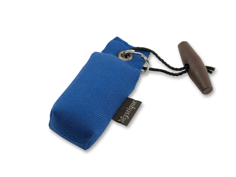 Dummy_key_case_blue_big_web.jpg