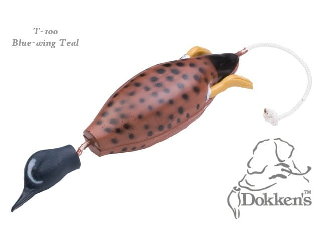 Aport Dokken's kaczka cyraneczka